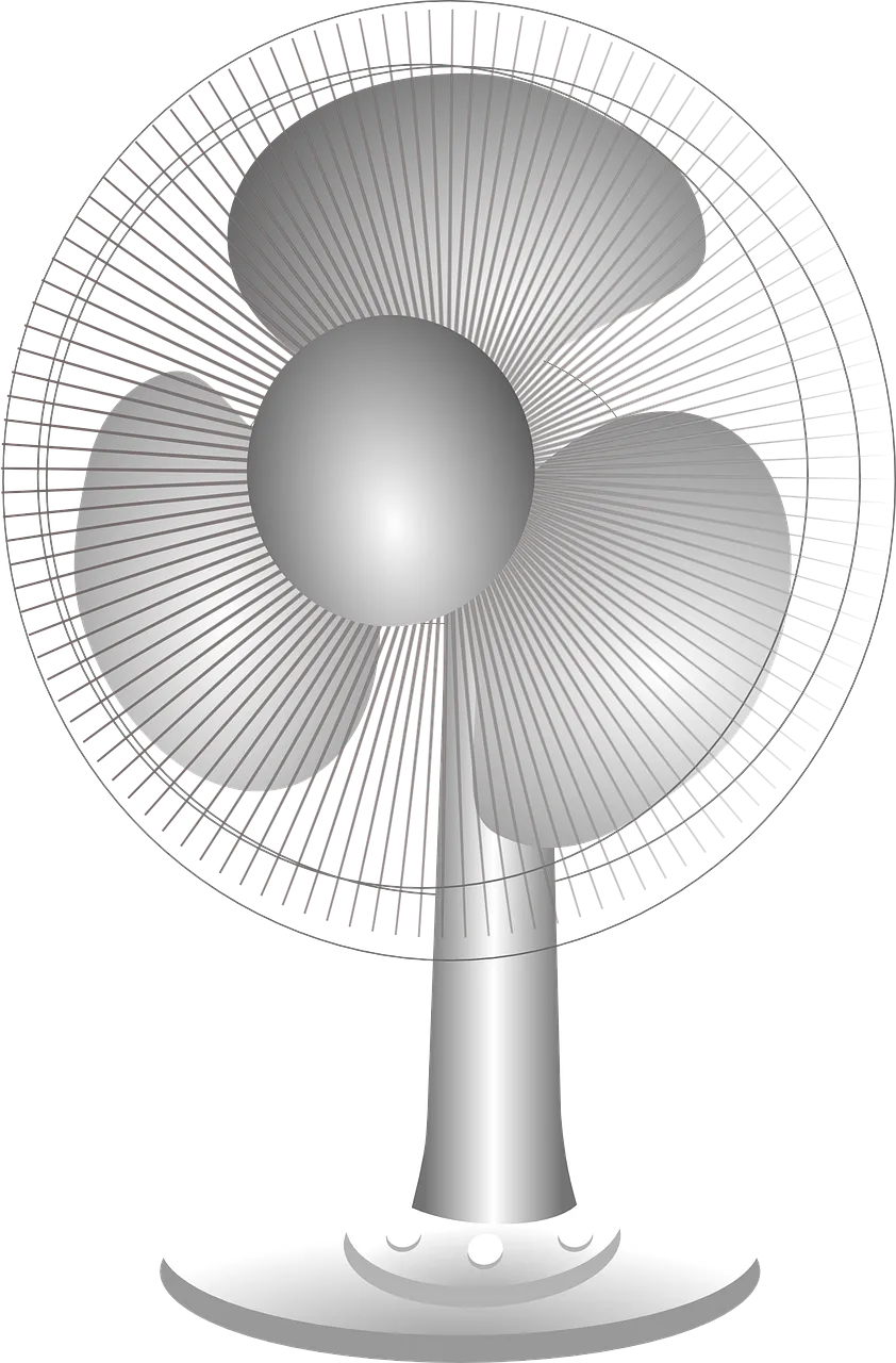 fan-309553_1280.png