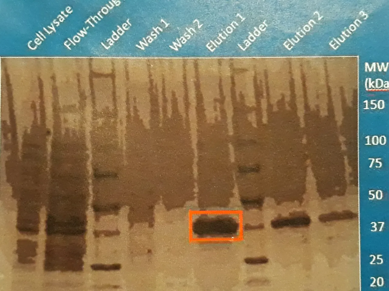 20180808_222946.jpg