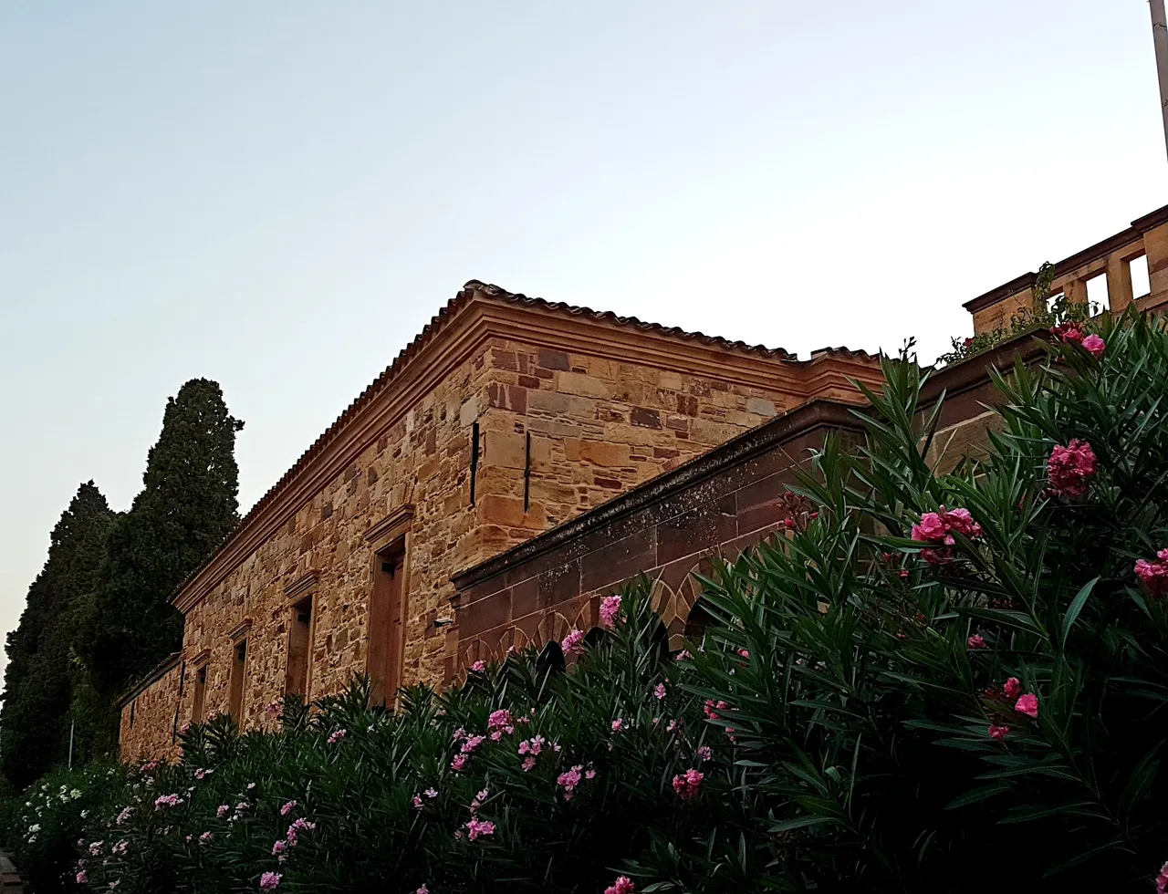 20180828_065536.jpg