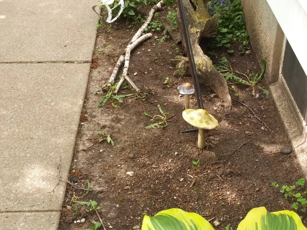 20190526_100632.jpg