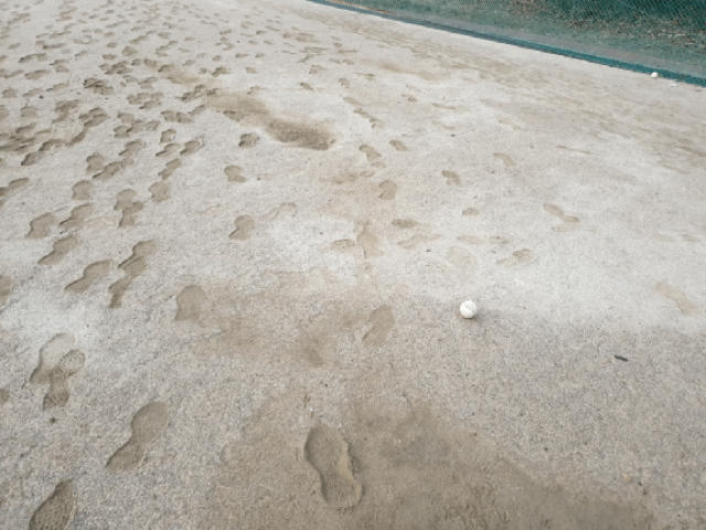 20190205_072322.gif