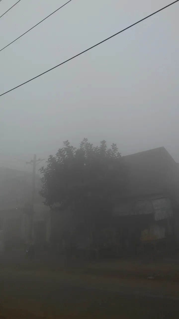 20181224_093452.jpg
