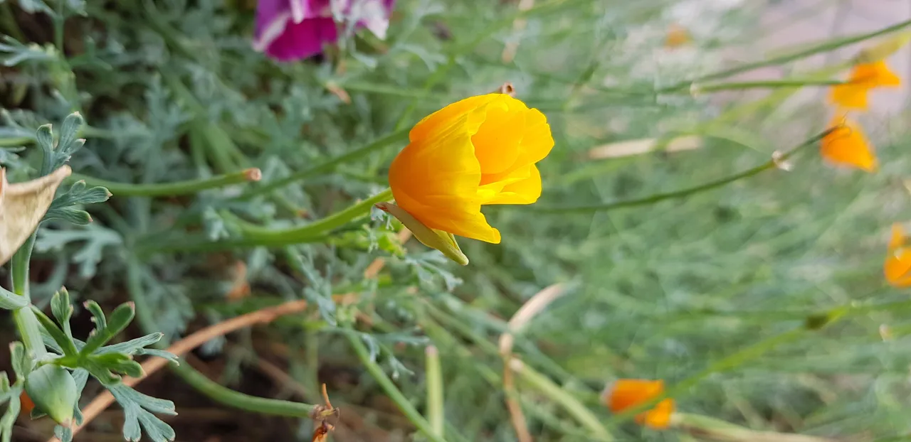20180906_122651.jpg