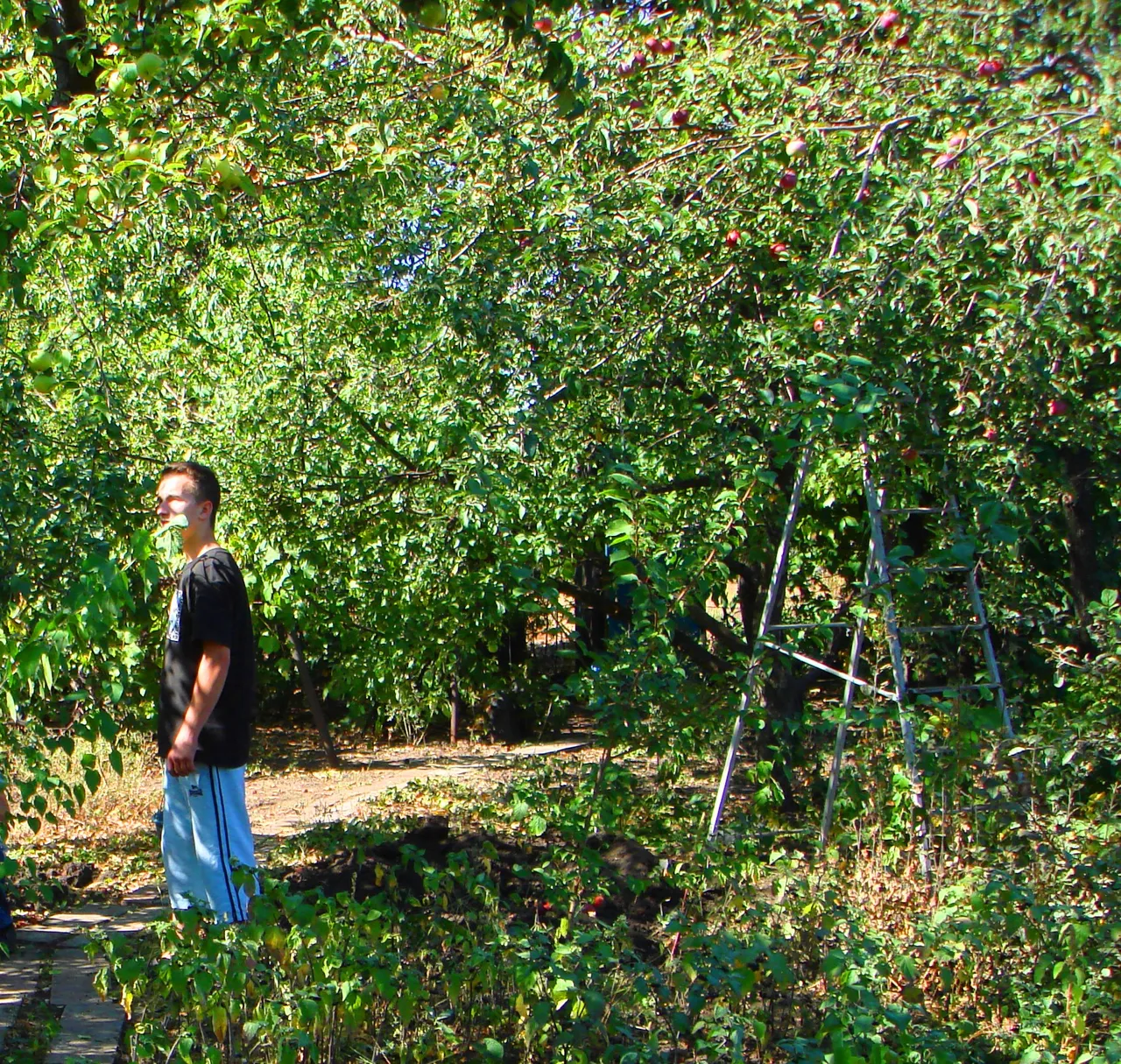 DSC00005-222222.jpg
