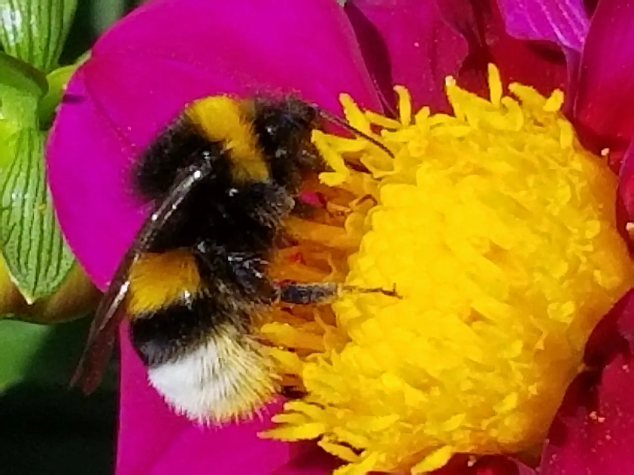20180910_154235.jpg