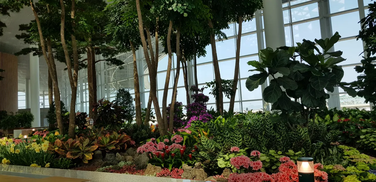 20190412_105935.jpg