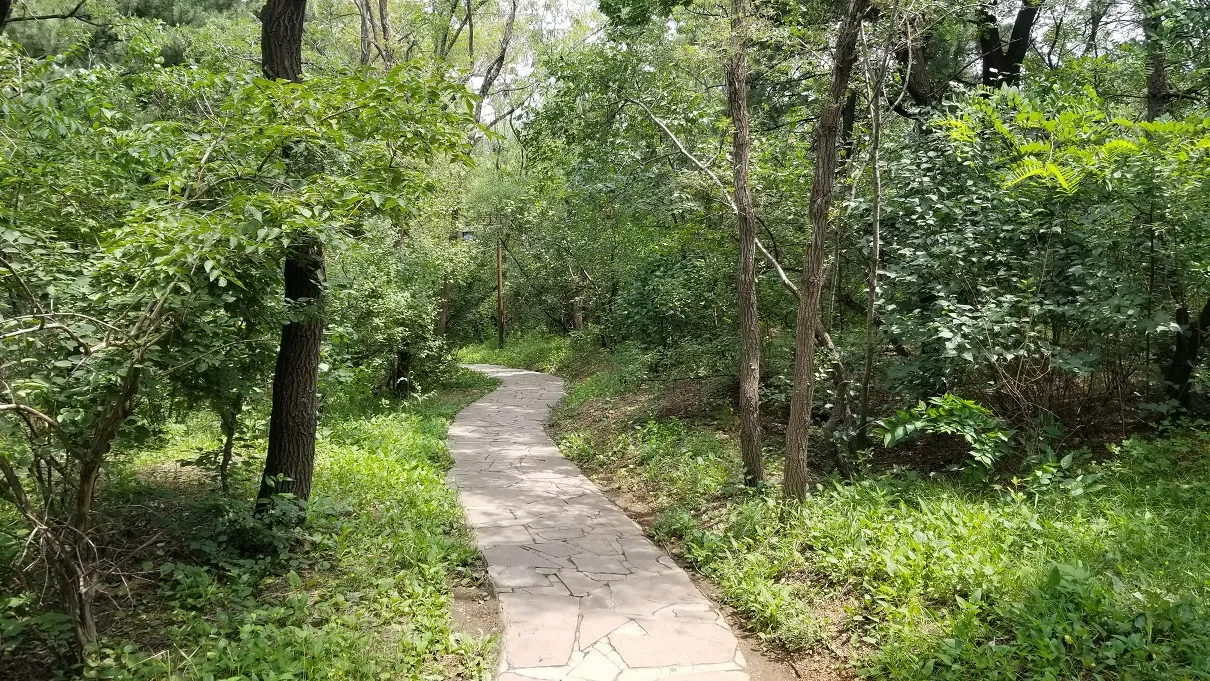 20180630_111526.jpg