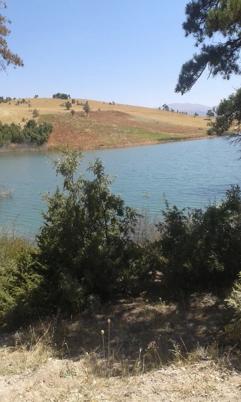 20140824_112021.jpg