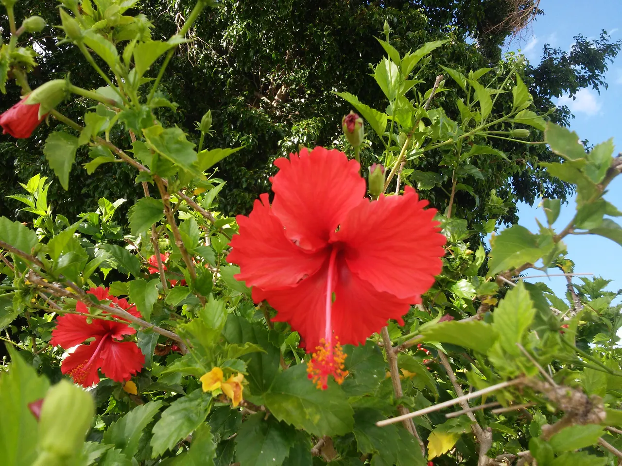 20181030_141925.jpg