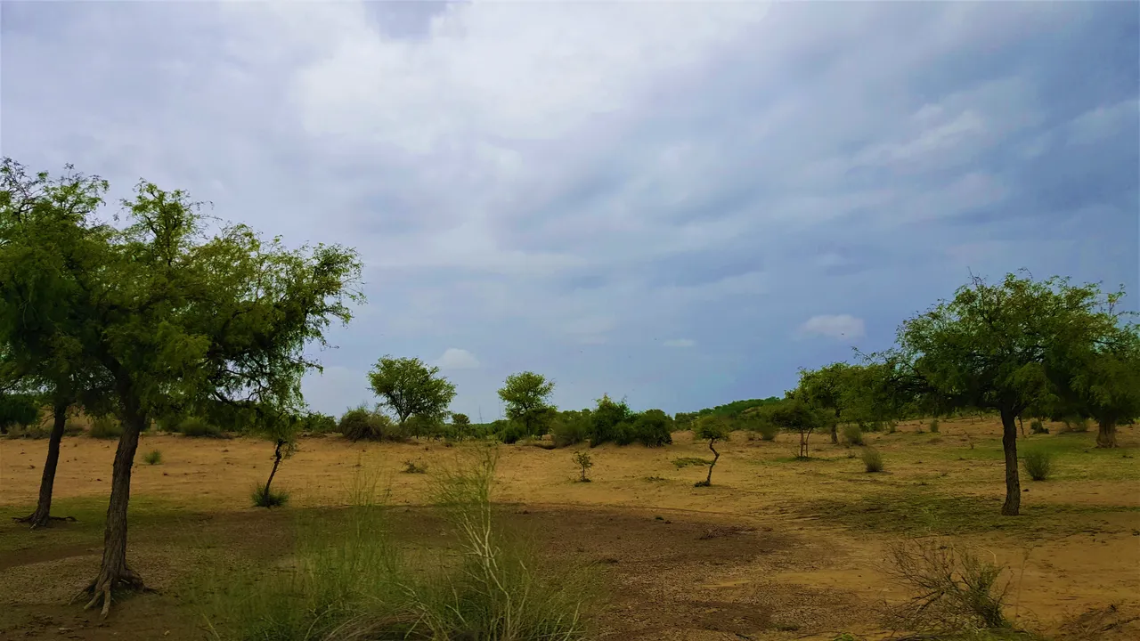 20190815_151654.jpg