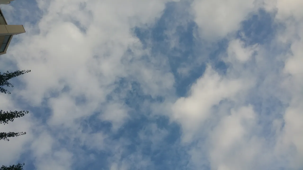 20180703_072650.jpg