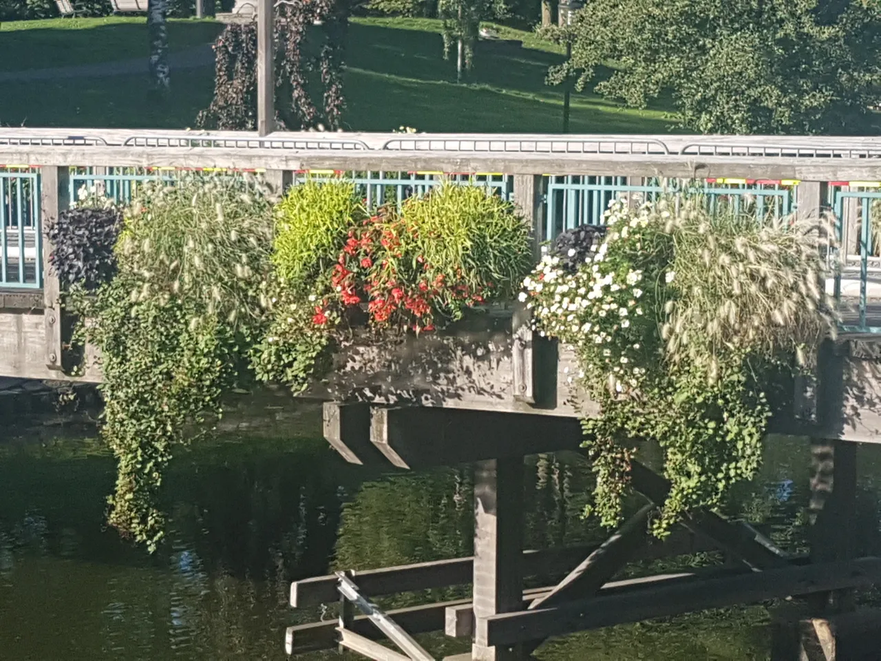 20180902_091241.jpg