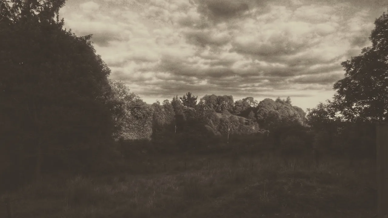 DSC_1502-01-01.jpeg
