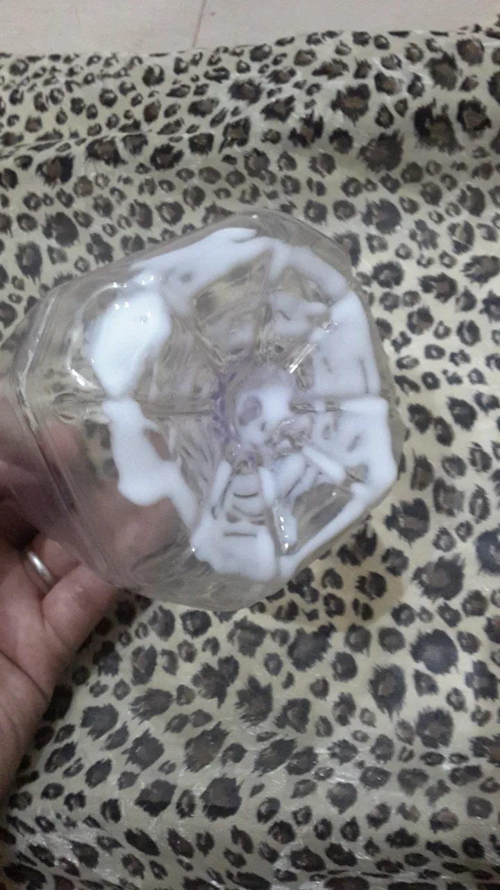 20190406_184239.jpg