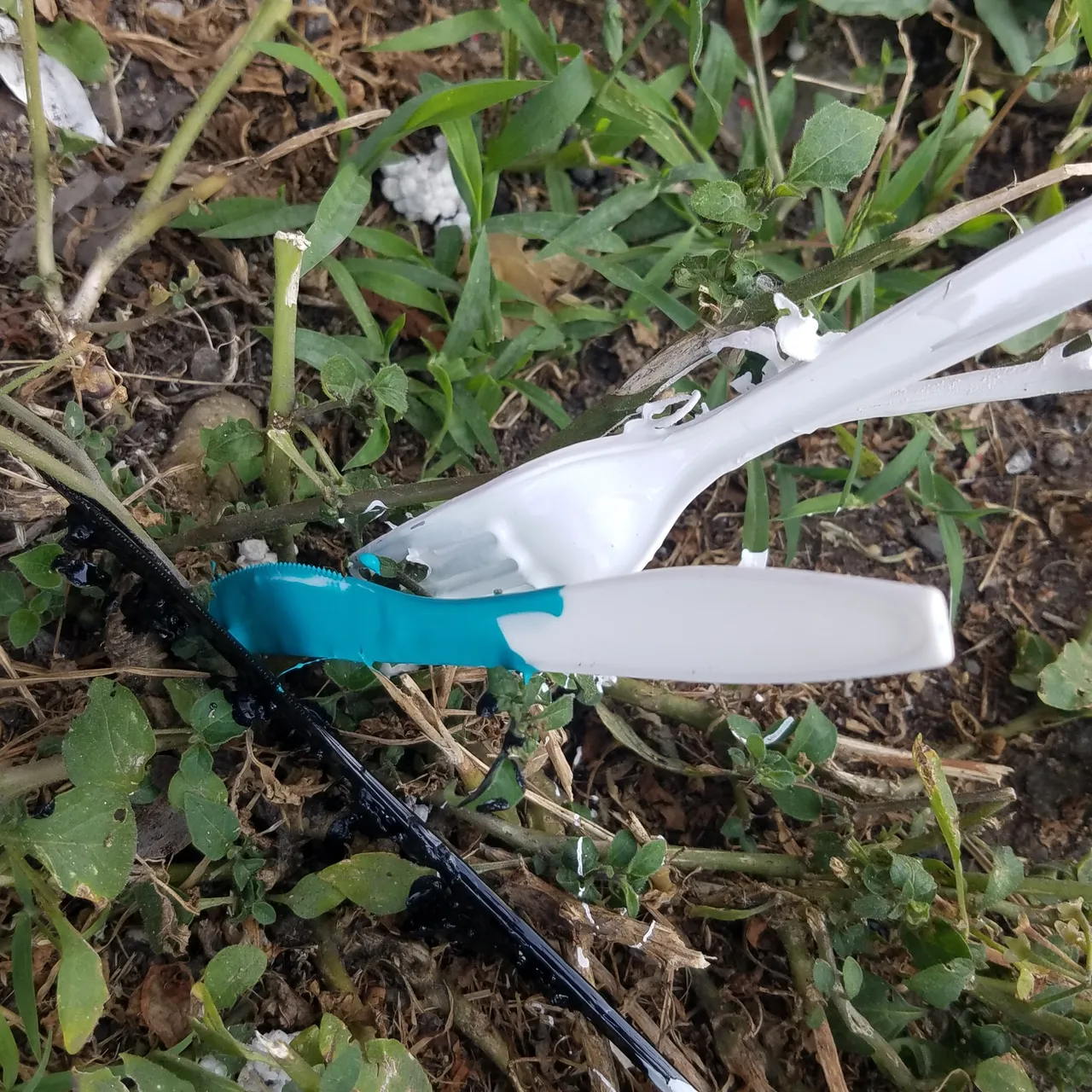 20180629_184435.jpg
