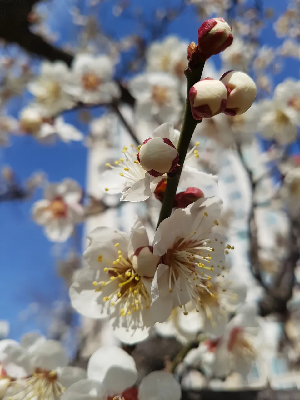 20190314_101334.jpg