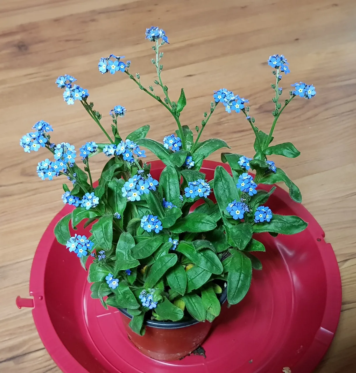 20190324_215422.jpg