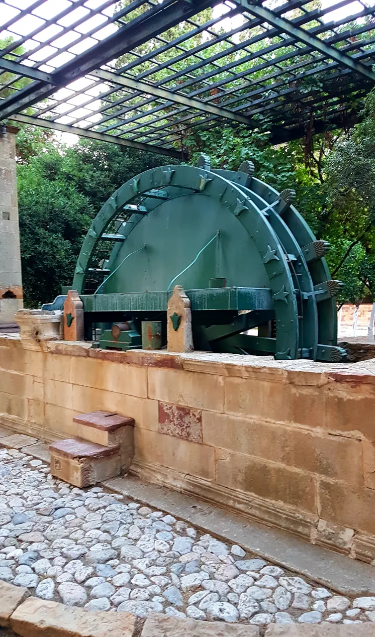 20180828_073400.jpg