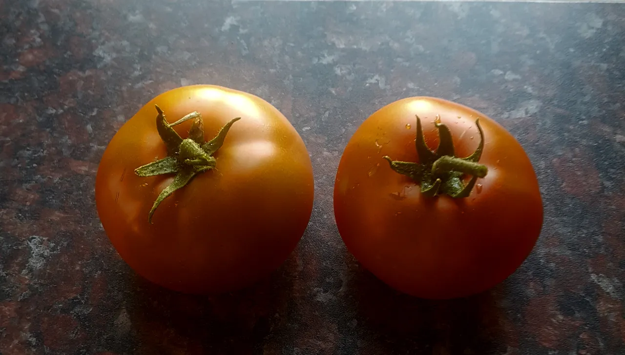 ripe tomatoes.jpg