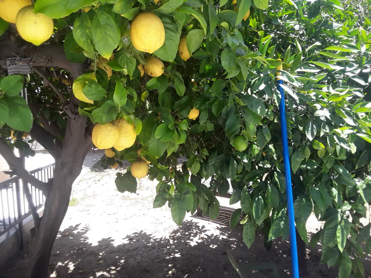 20180603_133224.jpg