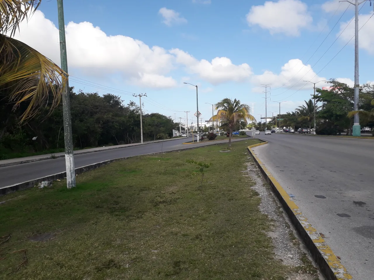 20190310_161514.jpg