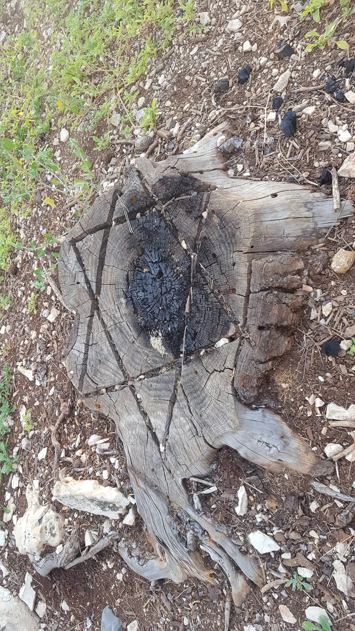 20180613_184422.jpg