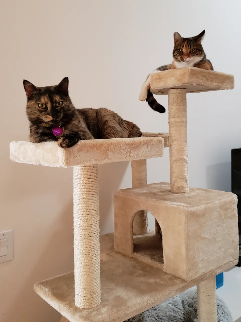 20191202_203555.jpg