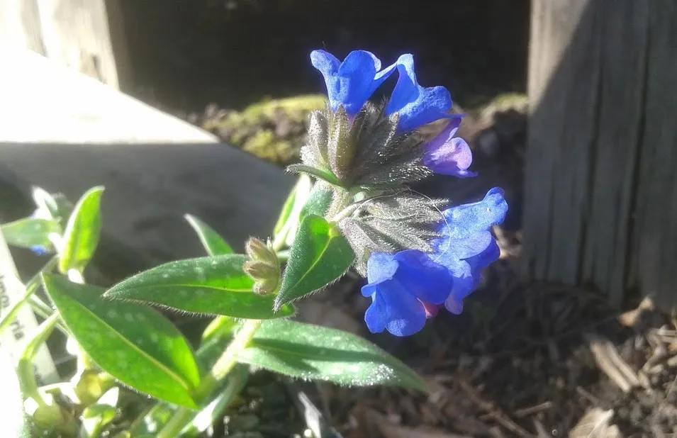 20190302_093206.jpg