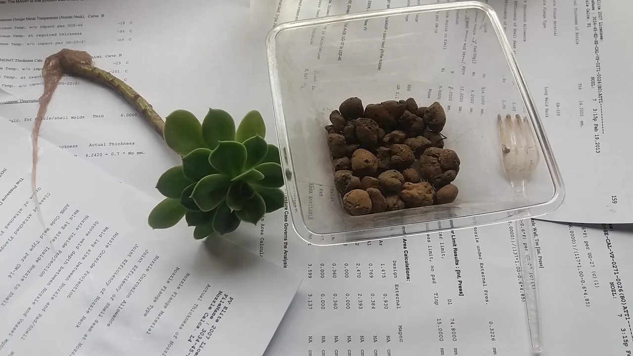 20190102_093729.jpg