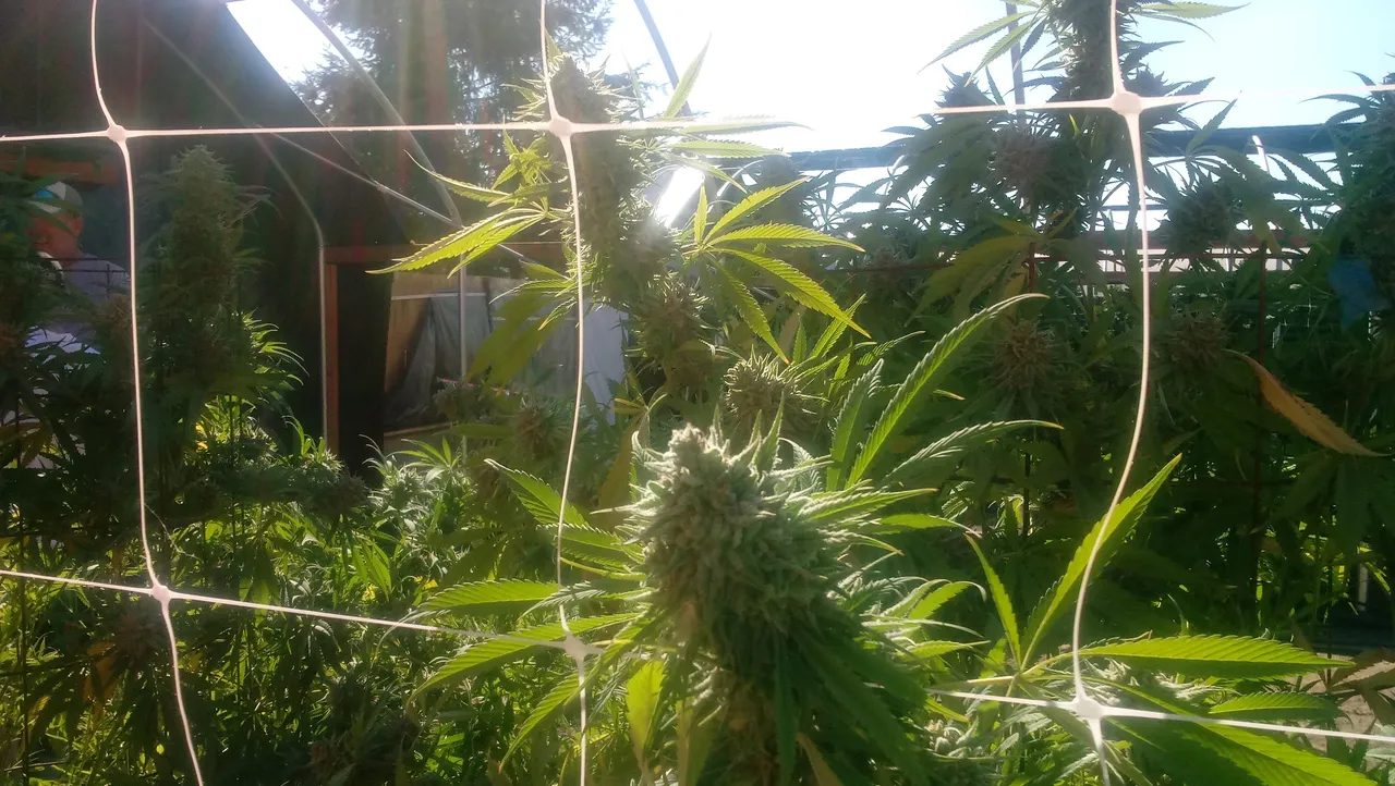 20180827_161757.jpg