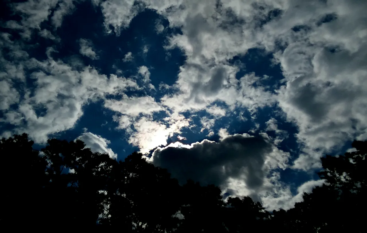 20190703_162812.jpg