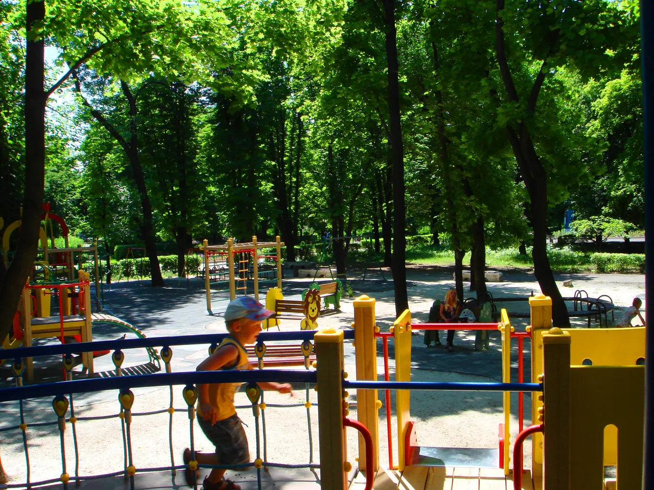 DSC01631-222222.jpg