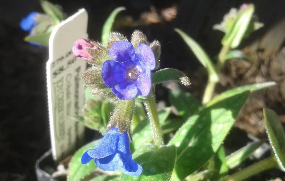 20190302_093240.jpg