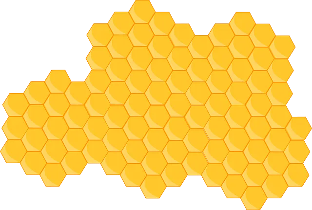 hive-310659_640.png