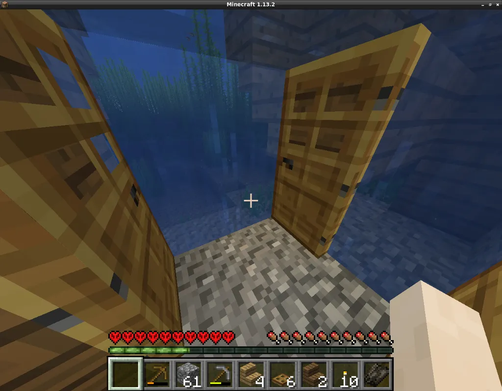 Minecraft-Ocean.png