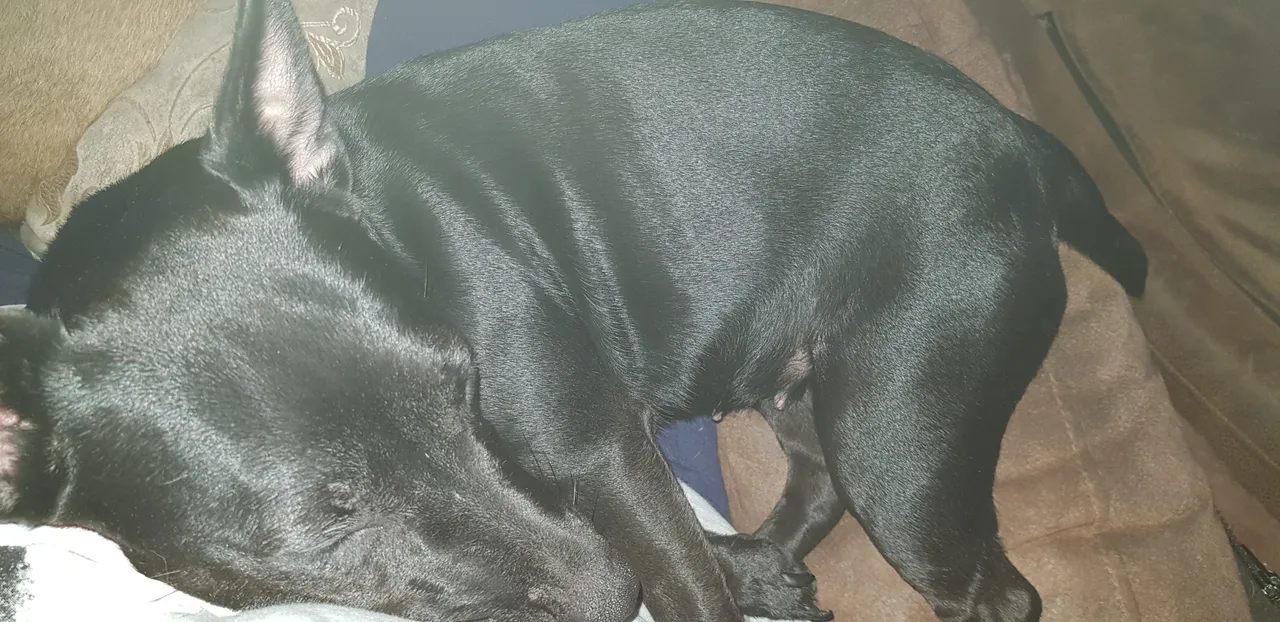 20181103_154303.jpg