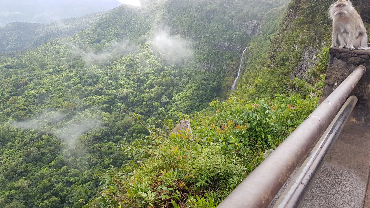 20180623_110857.jpg