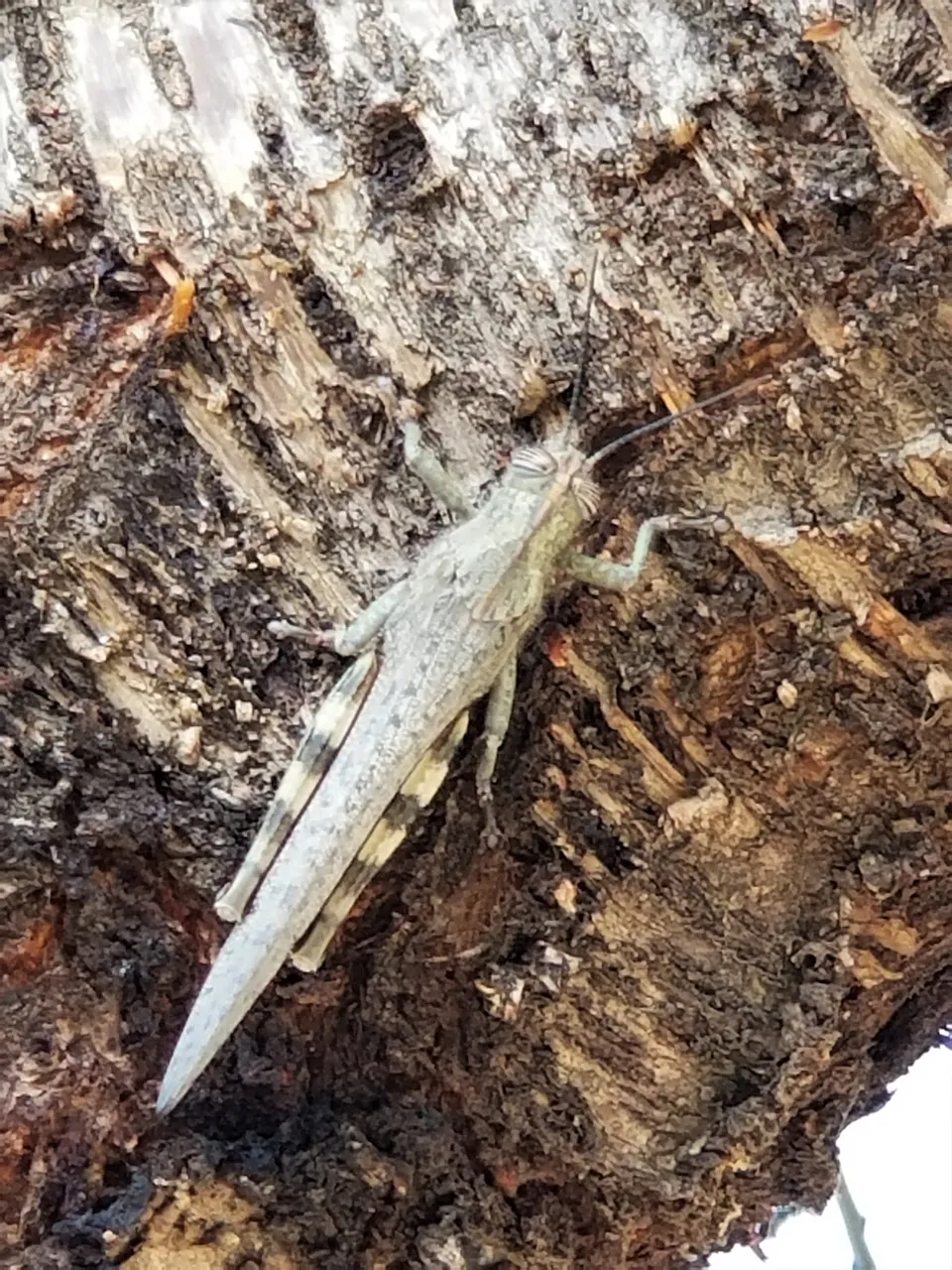 20180812_112217.jpg