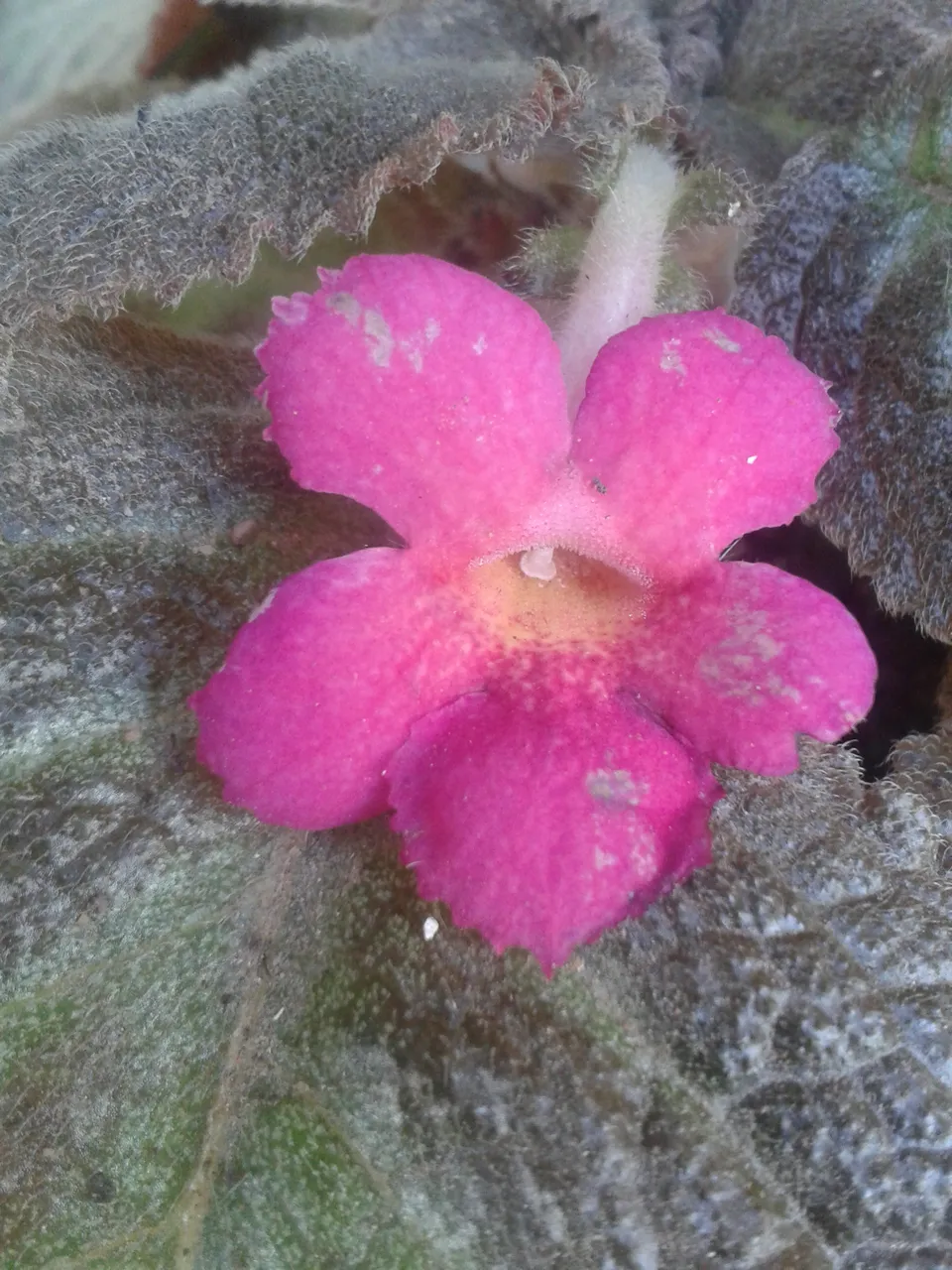 20190419_075114.jpg