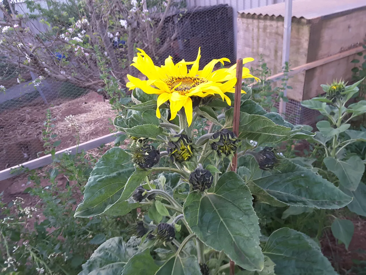 20191017_191958.jpg