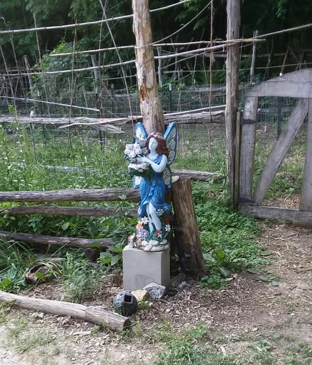 20180530_113631.jpg