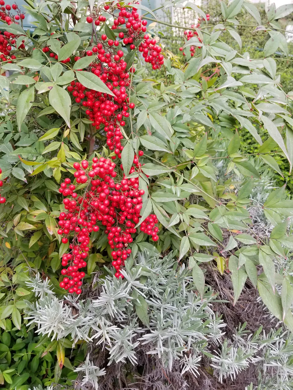 20180423_160548.jpg