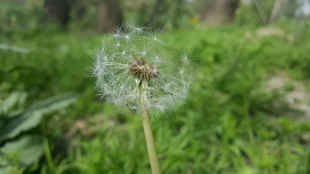 20180327_094752.jpg