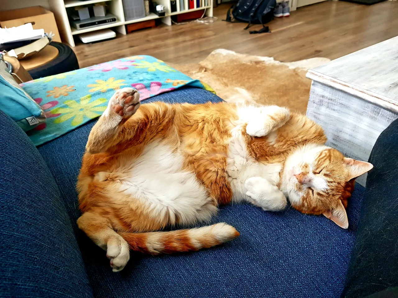 20180623_180339.jpg