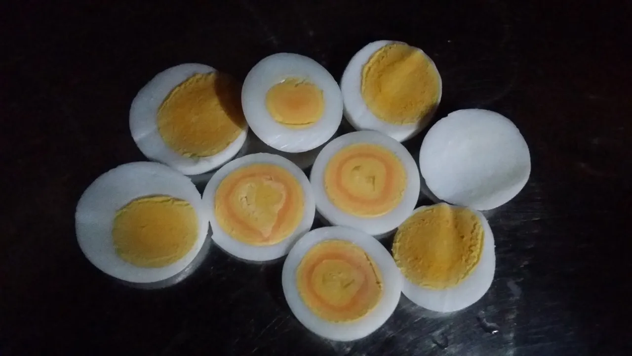 20180424_164302.jpg