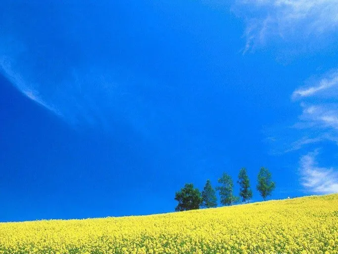 downloadfile-12.jpg