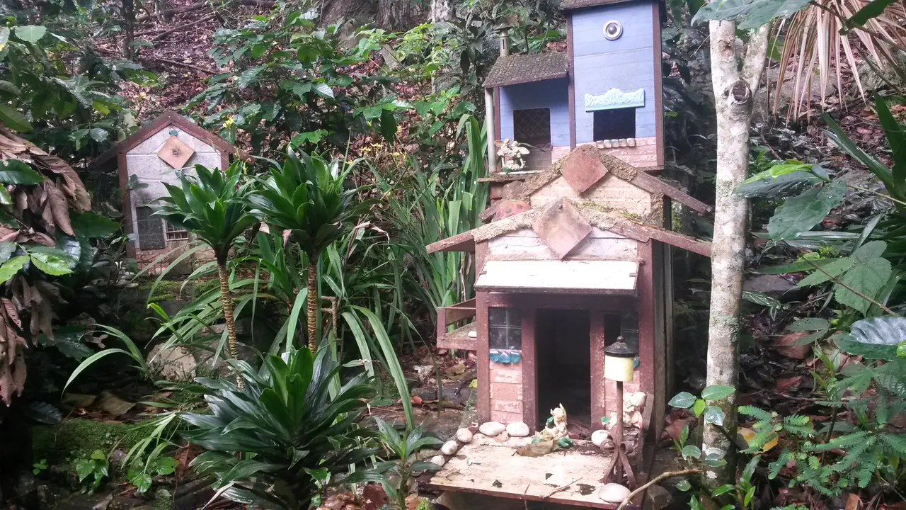 20140629_122020.jpg