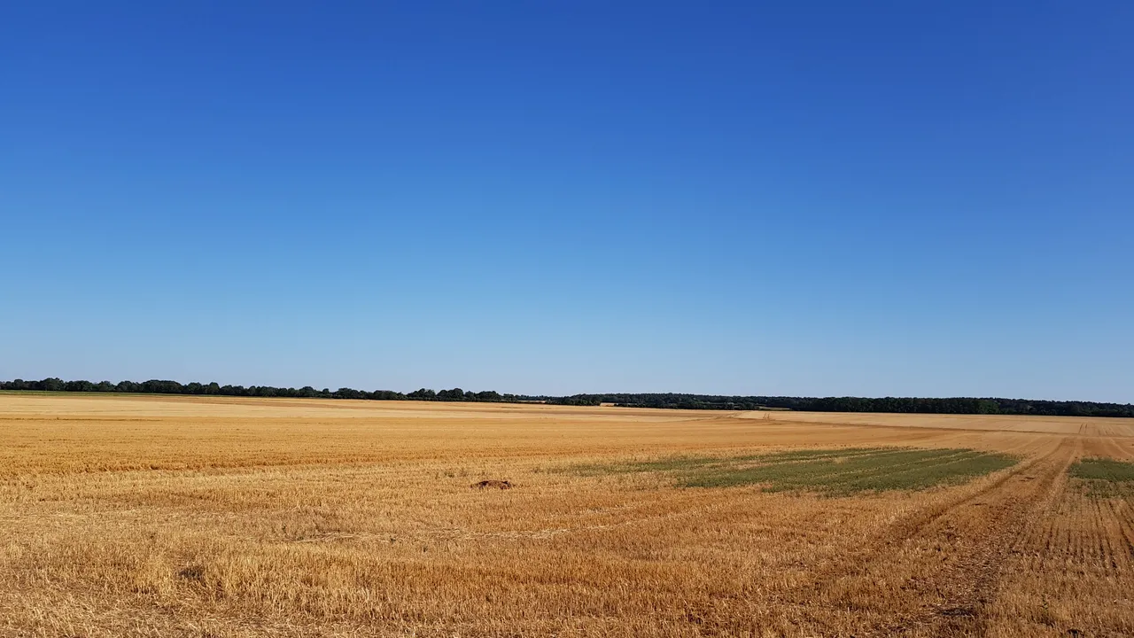 20190729_193454.jpg