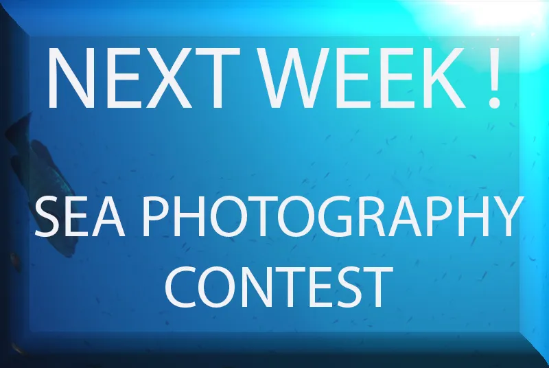 photo contest.jpg