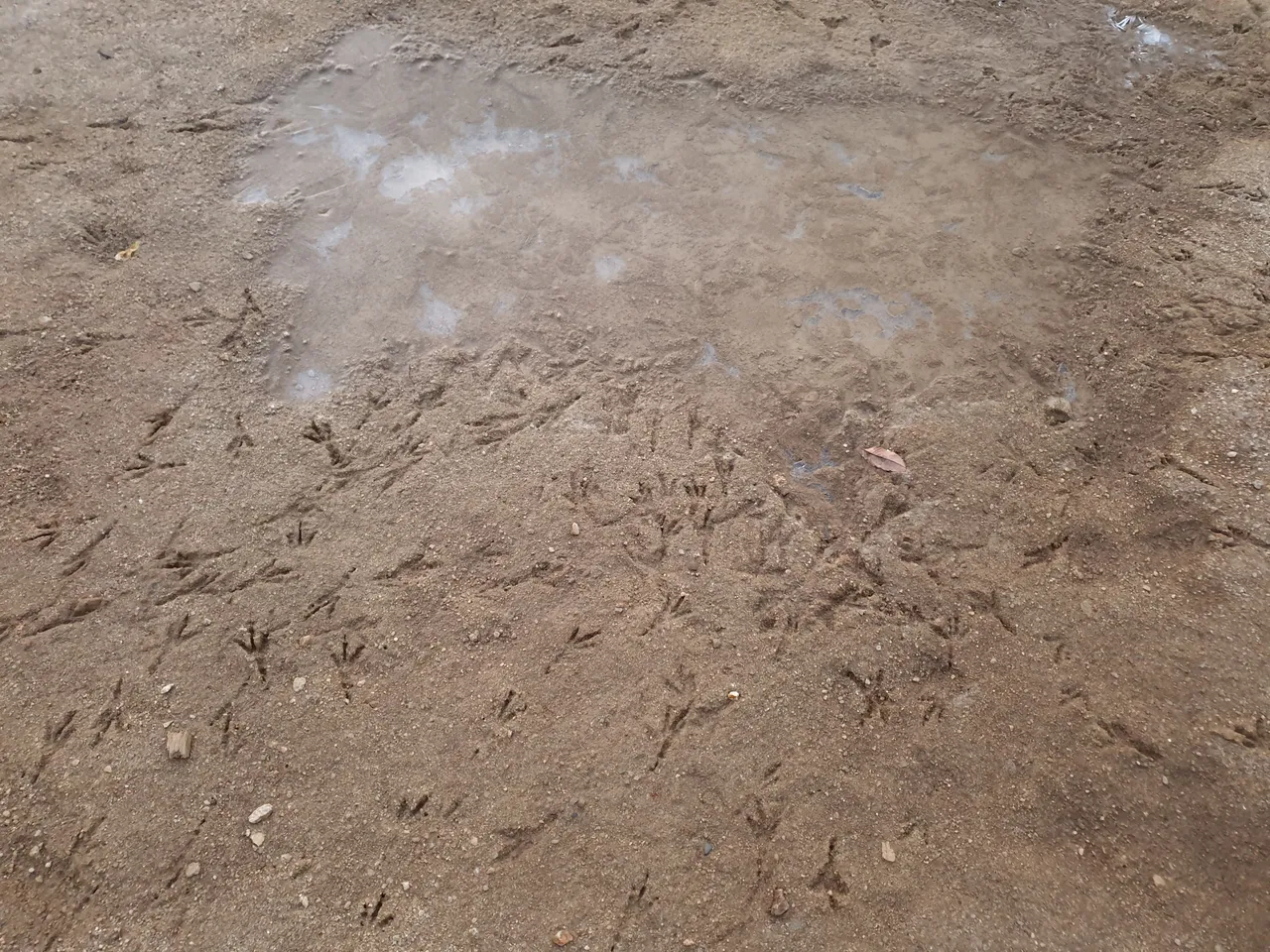 20190205_071959.jpg